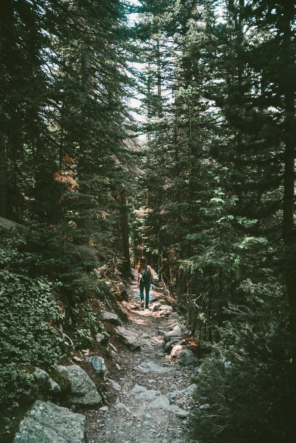 person walking on rough road surrounded by trees