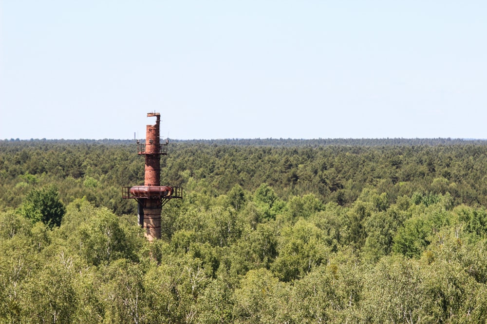 brown tower surrounded with tall and green trees