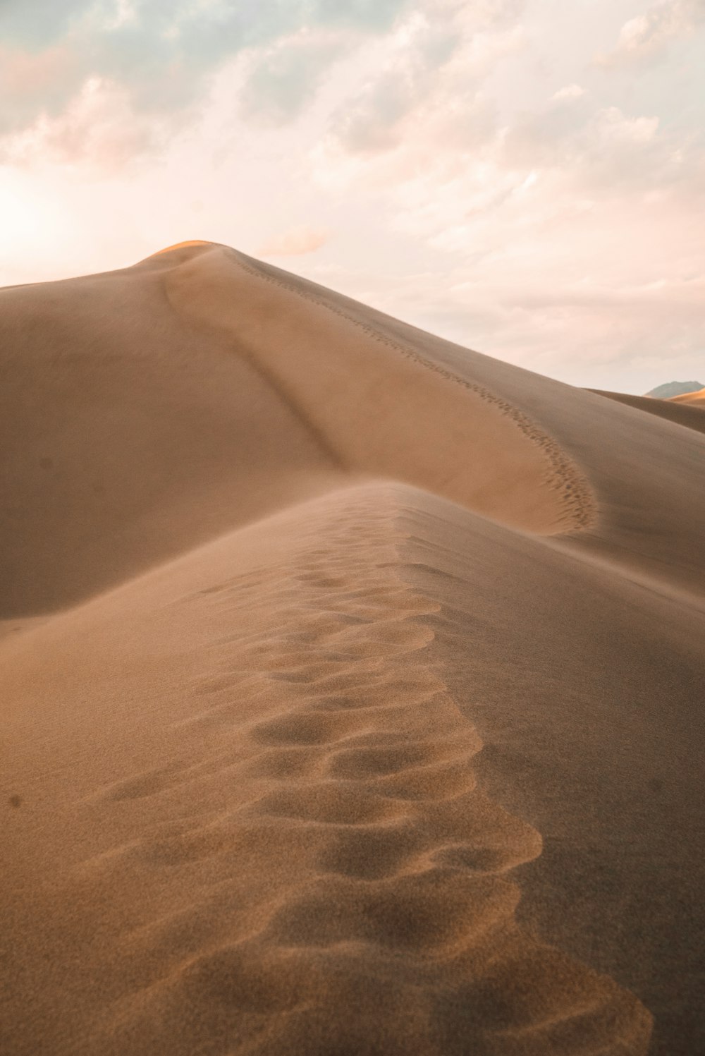 deserto