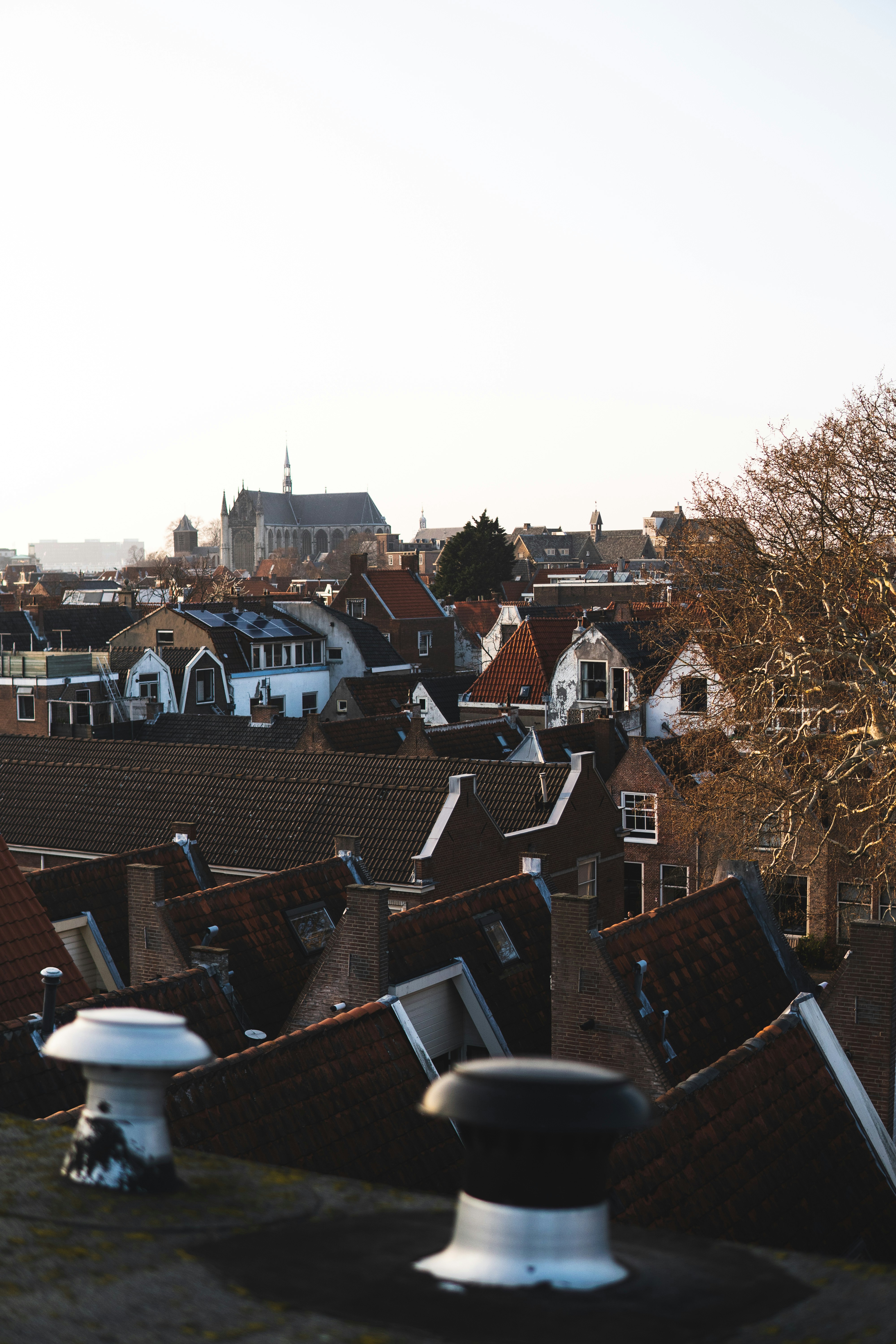 Photo by matthijslothmann