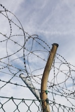 gray cyclone wire