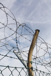 gray cyclone wire