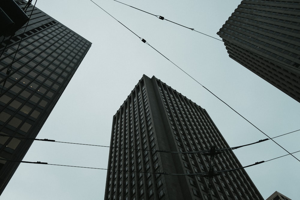 three black high-rise buildings