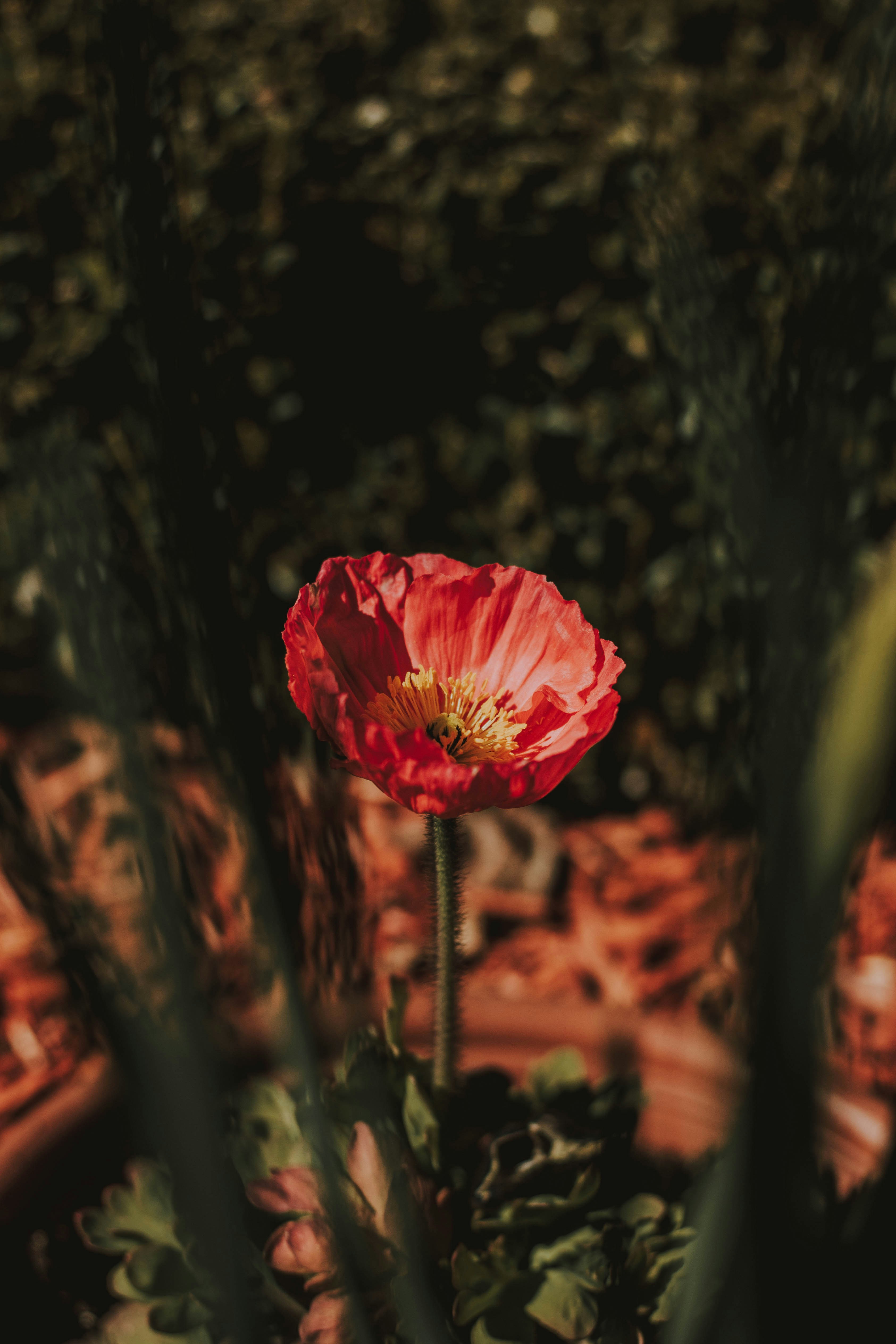Photo by matreding
