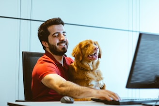 dog sitting on man's lap while using computer