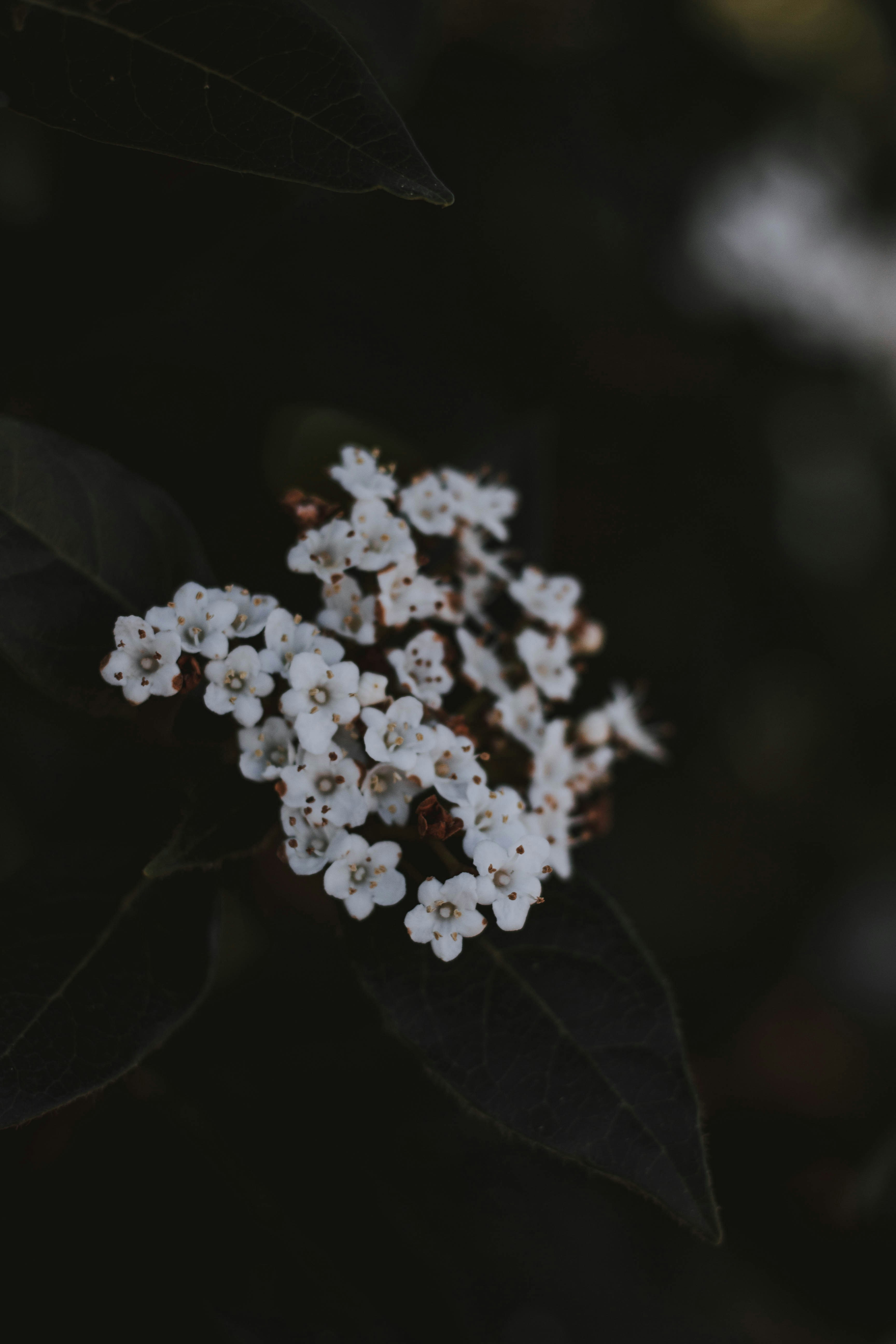 Photo by matreding