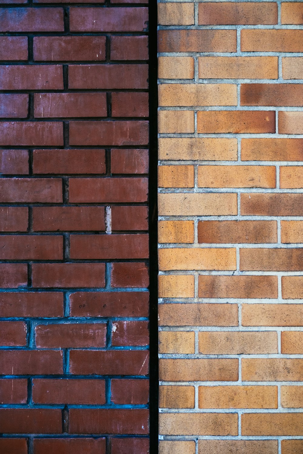 close-up photography of brick surface