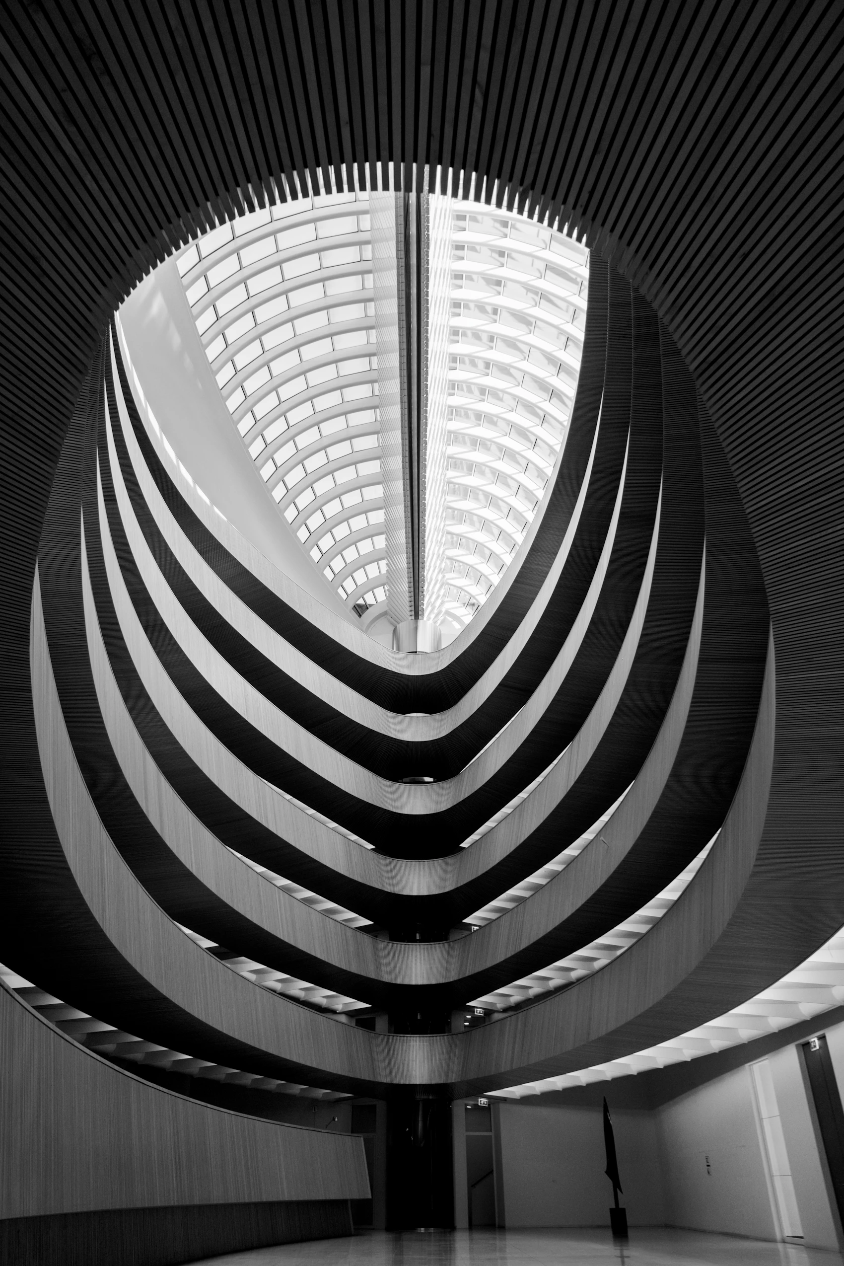 Architectural curves framing natural light