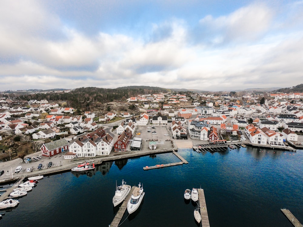 aerial photo of houses near body of water during daytime