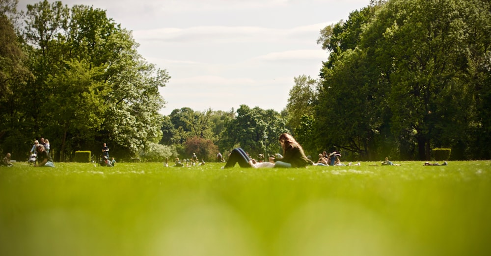 people on green field