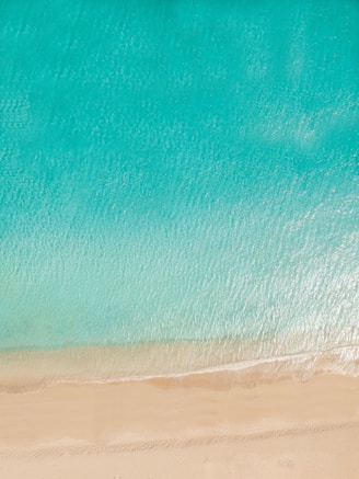 blue body of water near shore