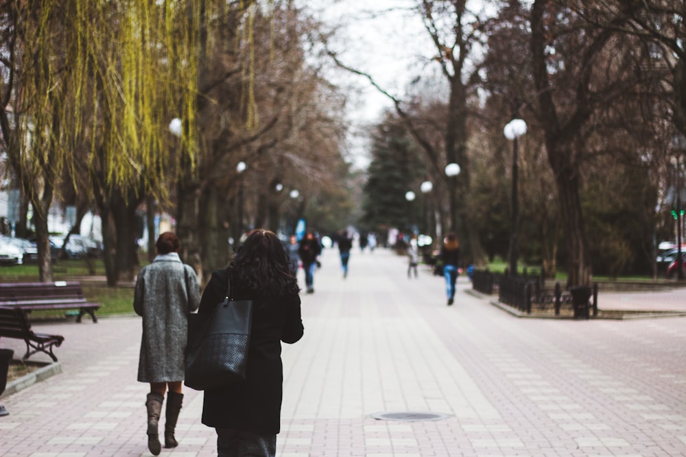 person walking on pathway