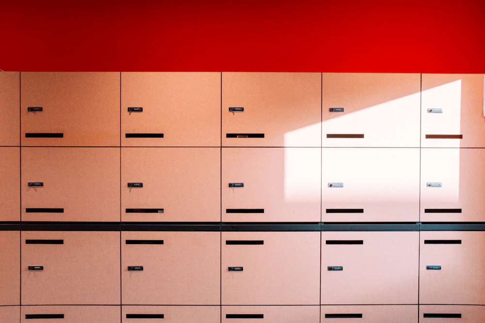Filing cabinets and bookshelves