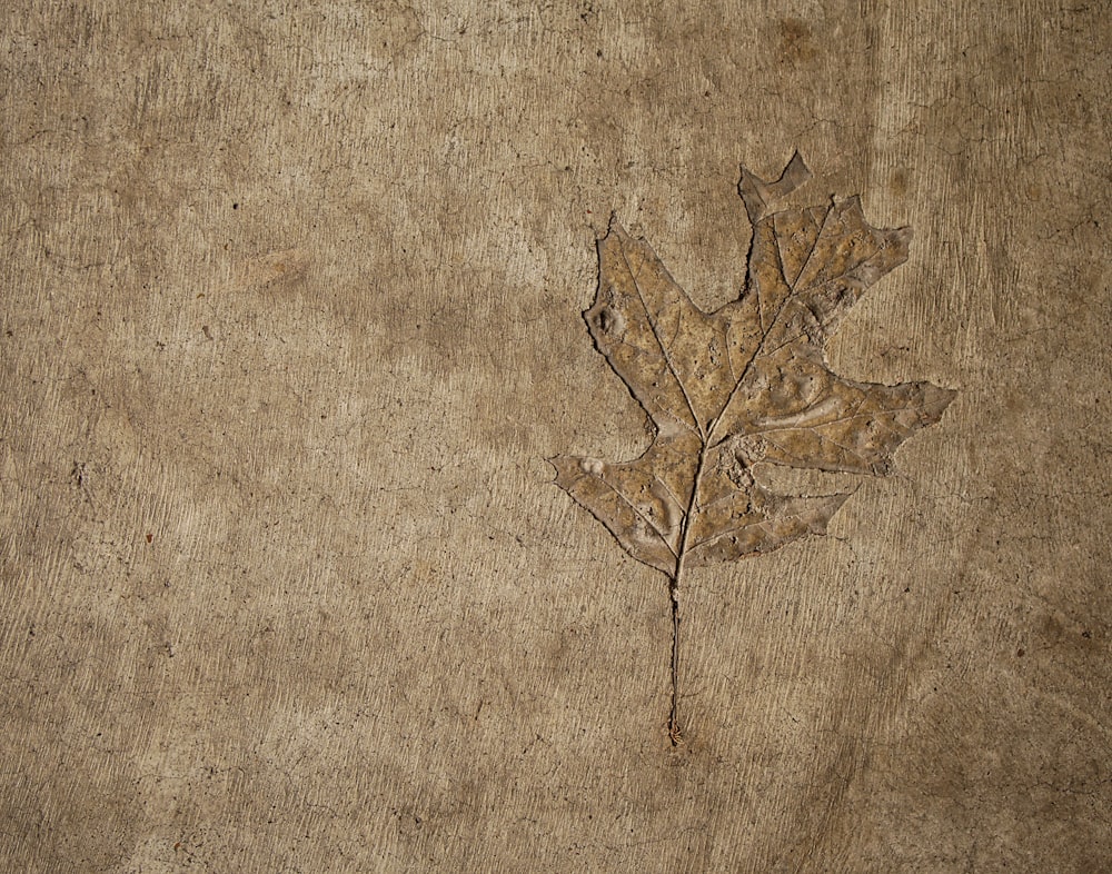 brown leaf illustration