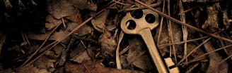 skeleton key surround with dry leaves