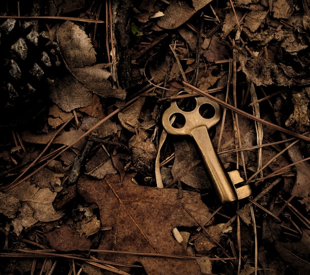 skeleton key surround with dry leaves