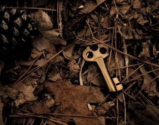 skeleton key surround with dry leaves