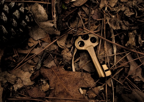 skeleton key surround with dry leaves