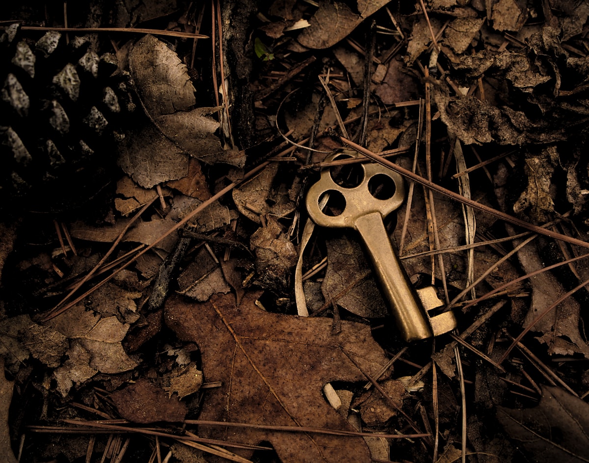 A sepia toned picture of an old fashioned brass key on a forest floor hidden amongst leaves and pinecones