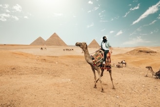 man riding camel