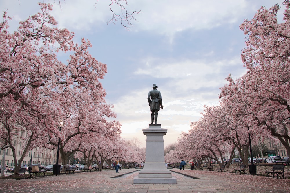 man standing on pedestal near cherry blossom