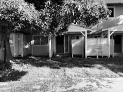 A black and white photo shows a small building with two front doors, partially obscured by a large tree. The building has two porches with lattice work, and the sign on one porch reads 'U.S. Govt. Property No Trespassing'. The ground is covered with grass and leaves, suggesting an untended or abandoned property.