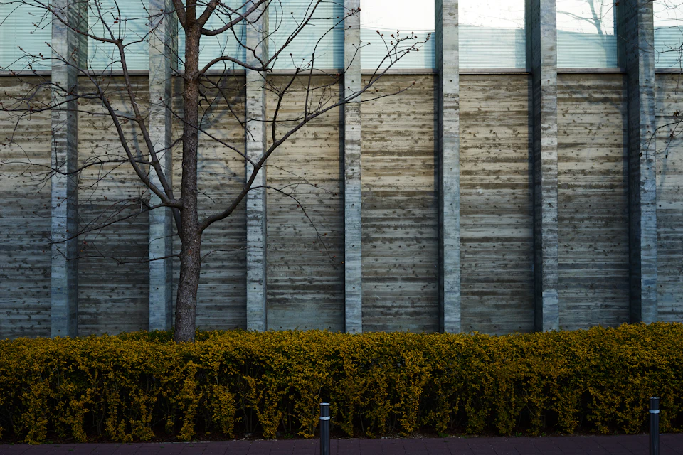 The image depicts a serene urban landscape with a tall, gray concrete building featuring six evenly spaced columns on its facade. The building's design is simple yet elegant, and it stands out against the backdrop of a tree-lined street. In front of the building, there are two small trees with bare branches reaching towards the sky. A sidewalk runs parallel to the building, leading up to a parking meter located in front of the structure.