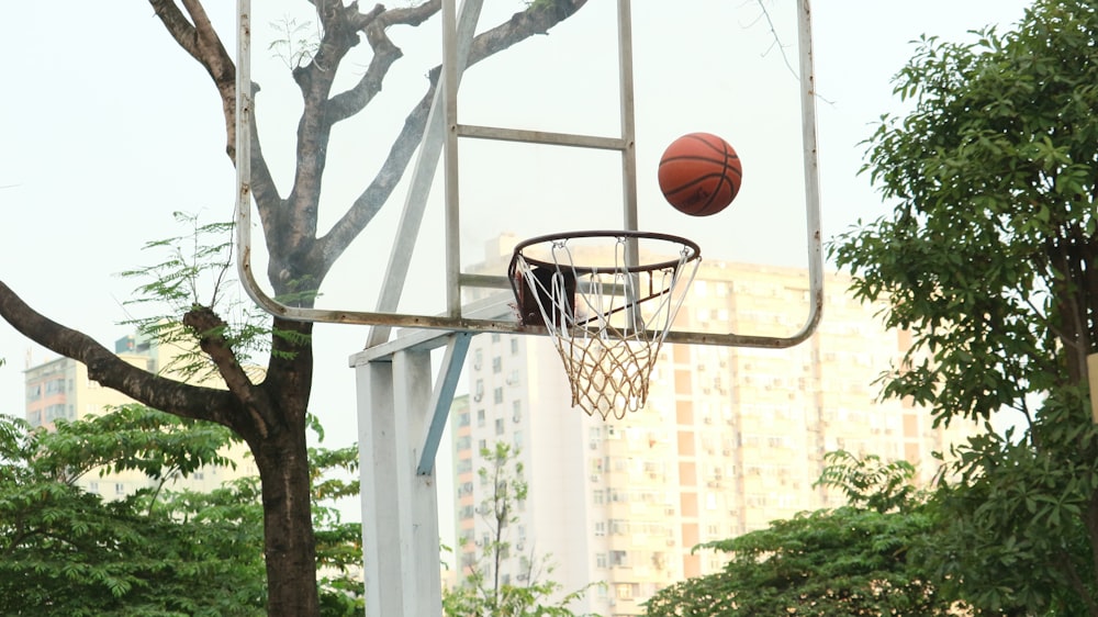 basketball thrown into hoop