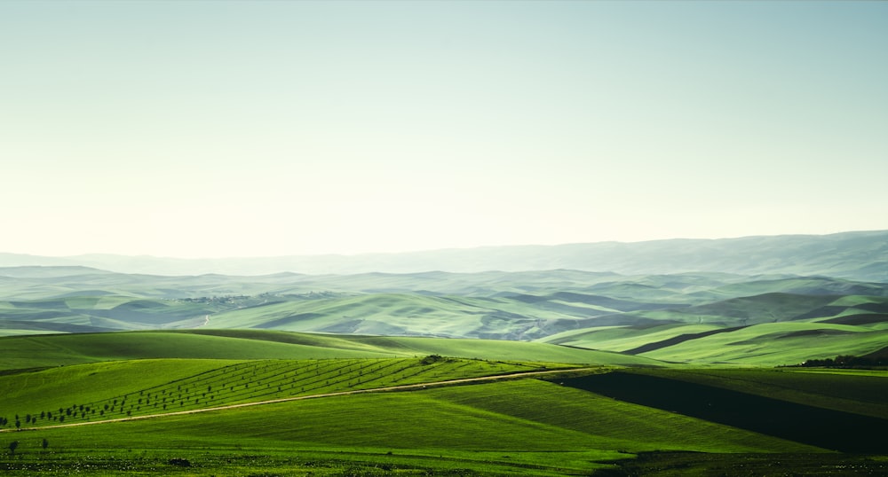 view of greenfield under clear sky