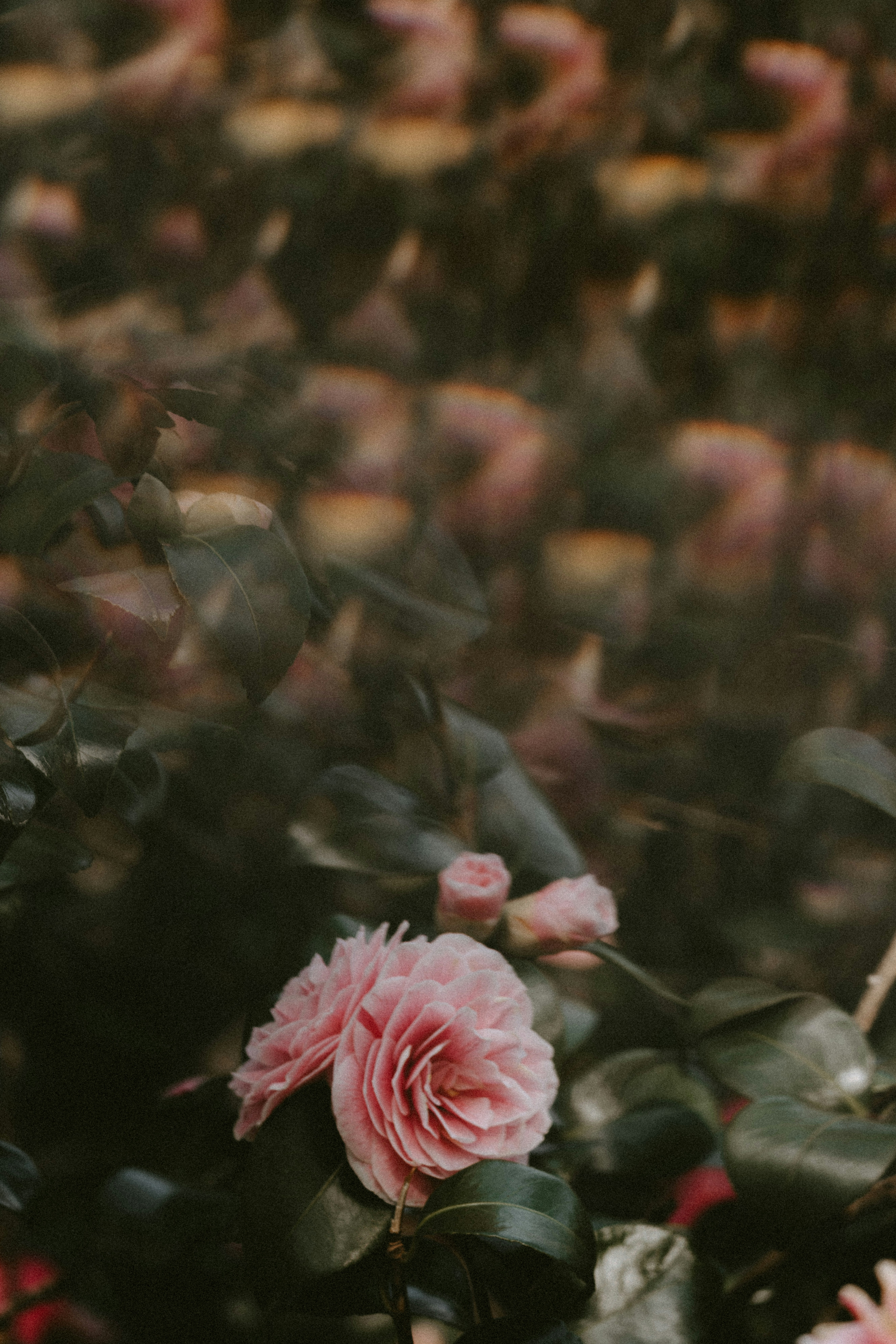 Photo by anniespratt