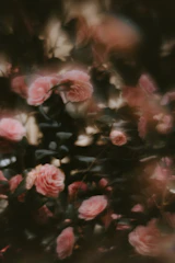 A soft-focus card showing blooming flowers in a garden.