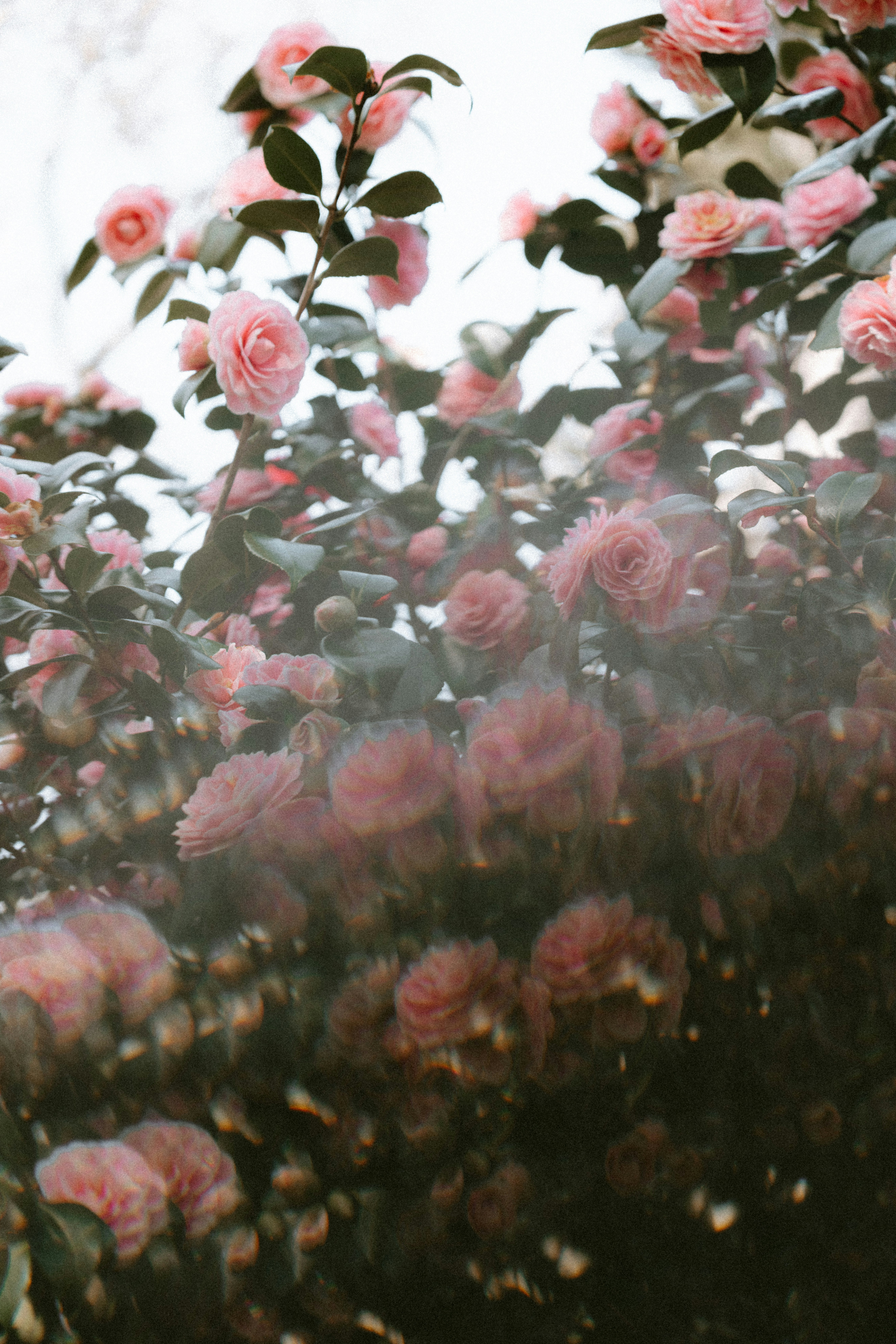 Photo by anniespratt