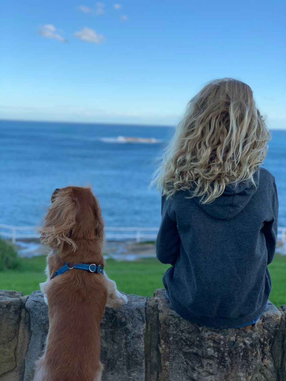 woman sitting beside dog while facing on beach