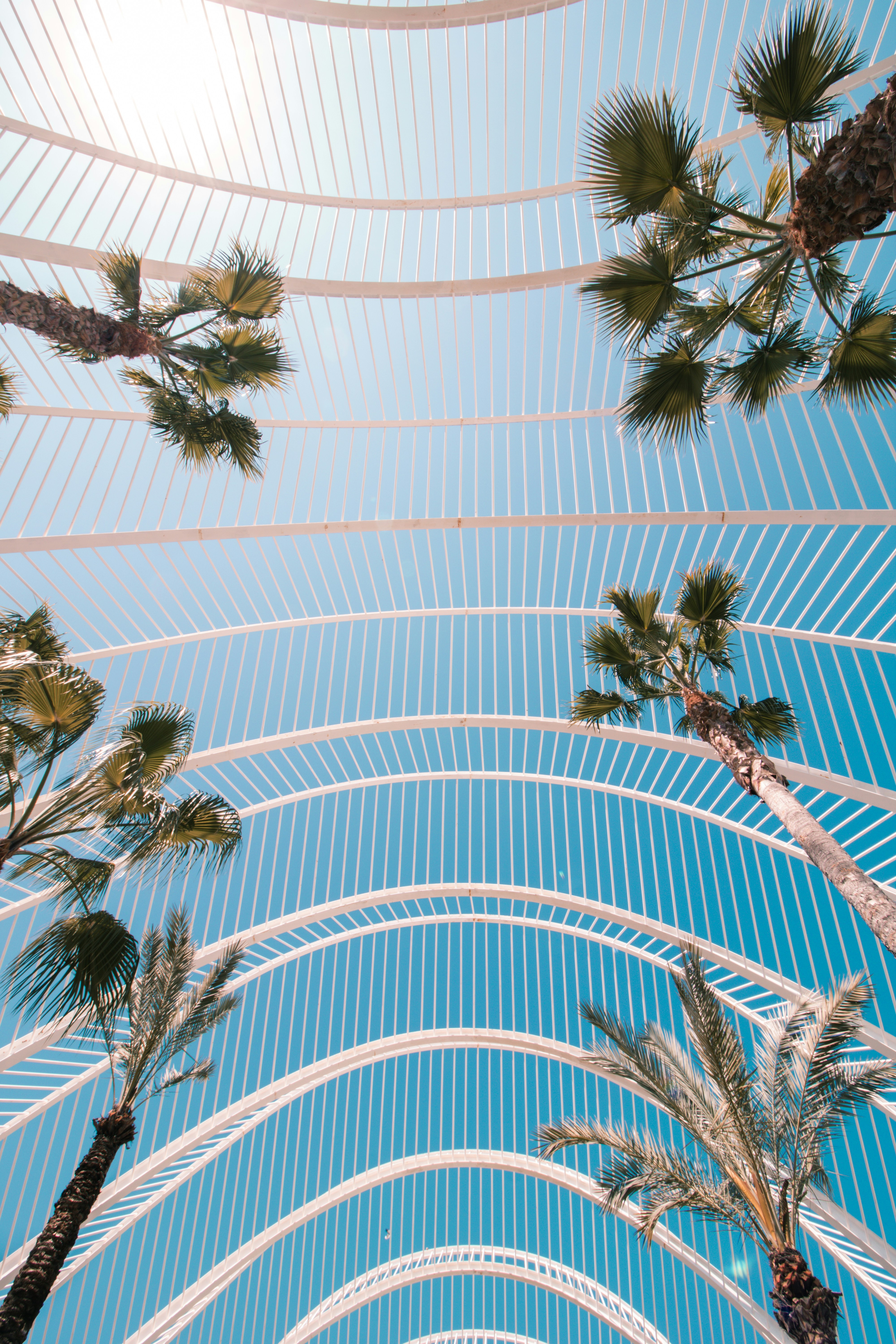 Photo by franckcharles_