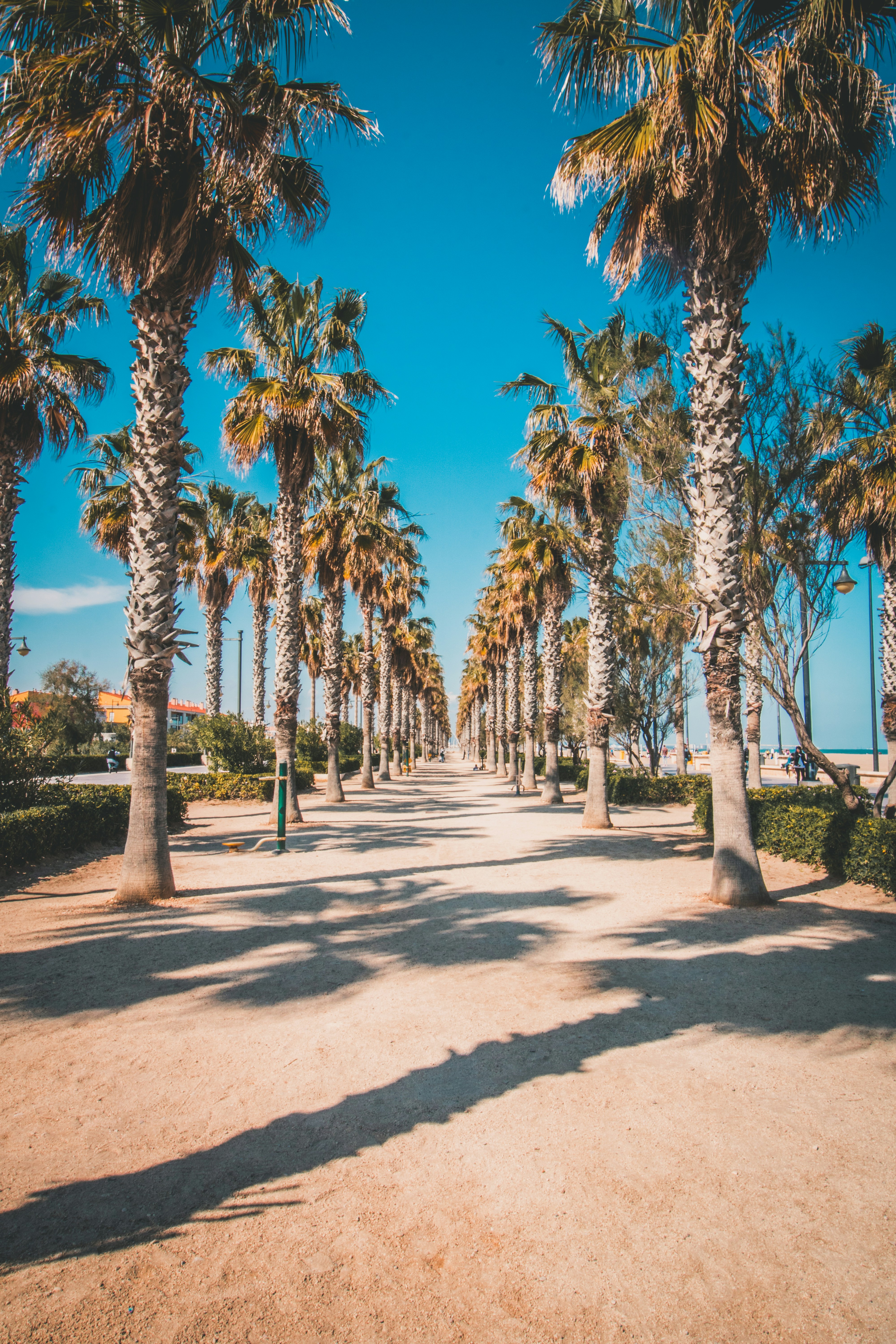 Photo by franckcharles_