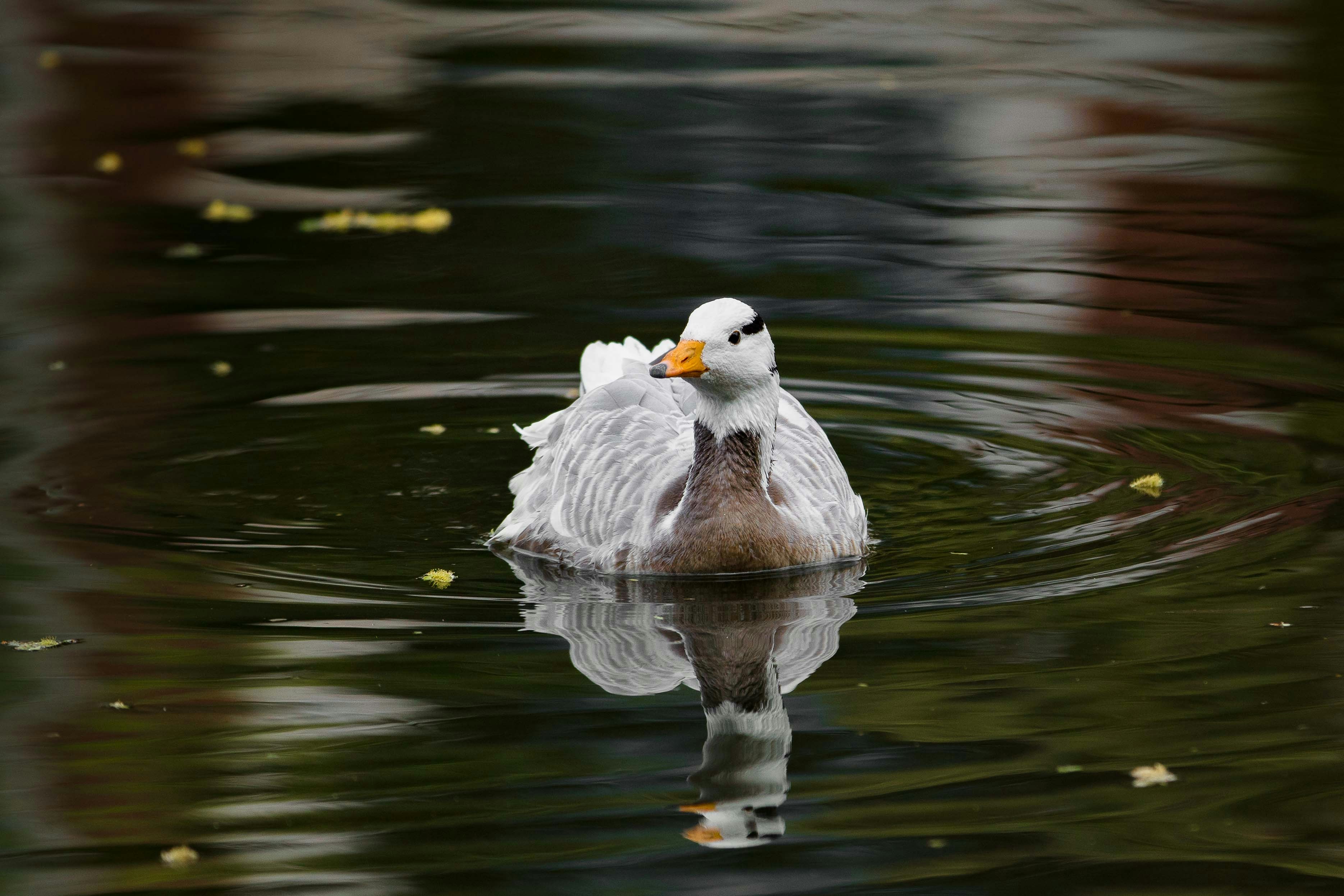 Photo by tangzhengtao