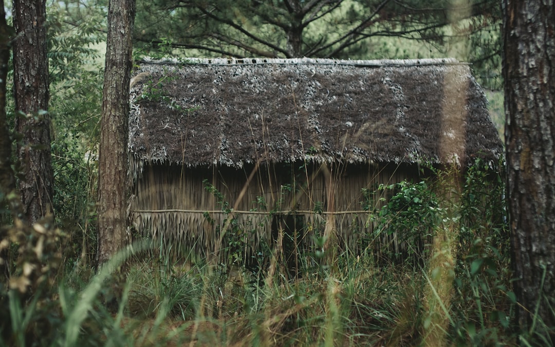 brown straw hut in forest