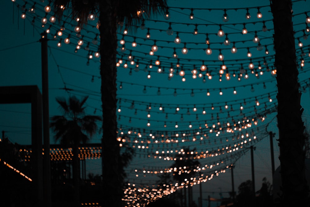 Guirlandes lumineuses dans la pénombre