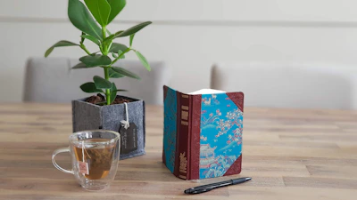 Muted brown wooden table with an open book and isara bottle beside a small potted plant.