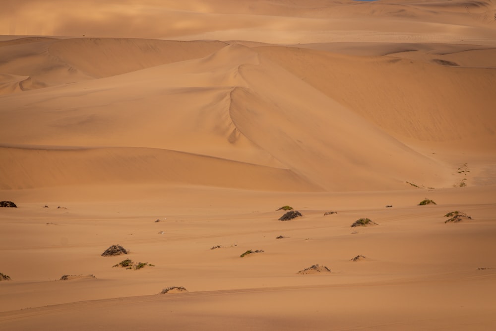 landscape photography of desert