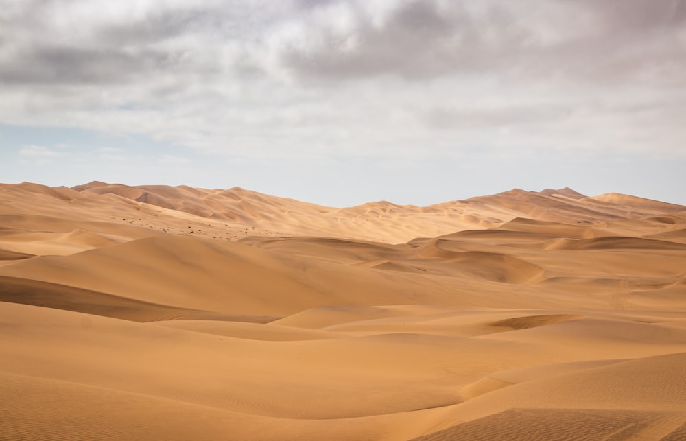 desert during daytime photo