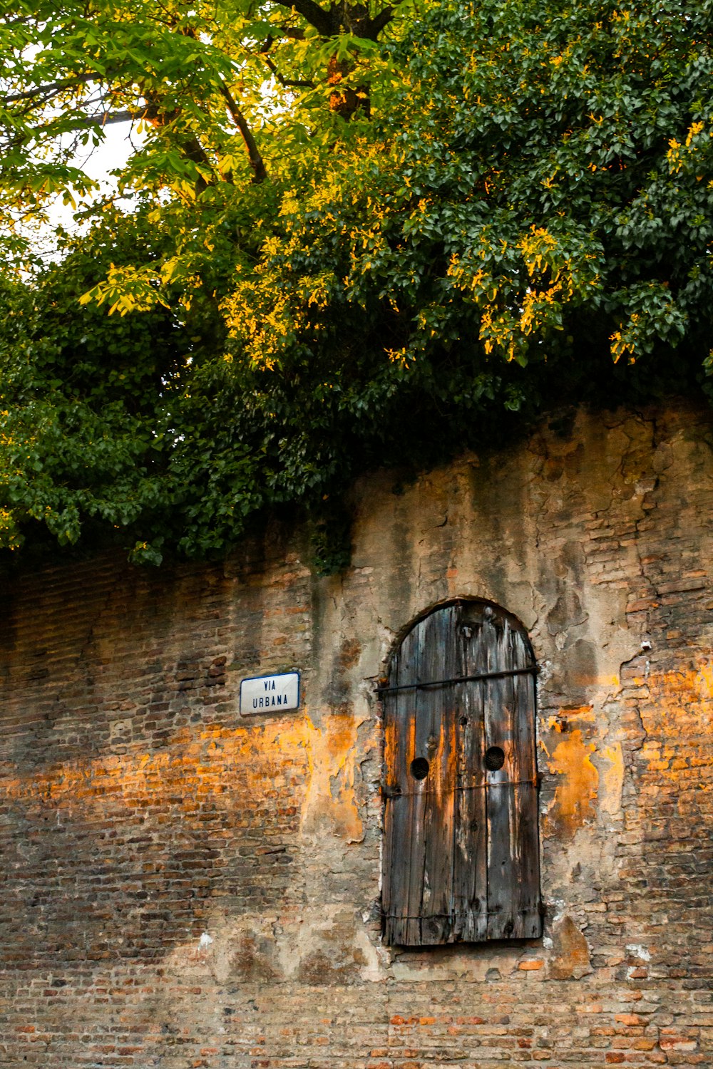 brown brick wall beside trees during daytime