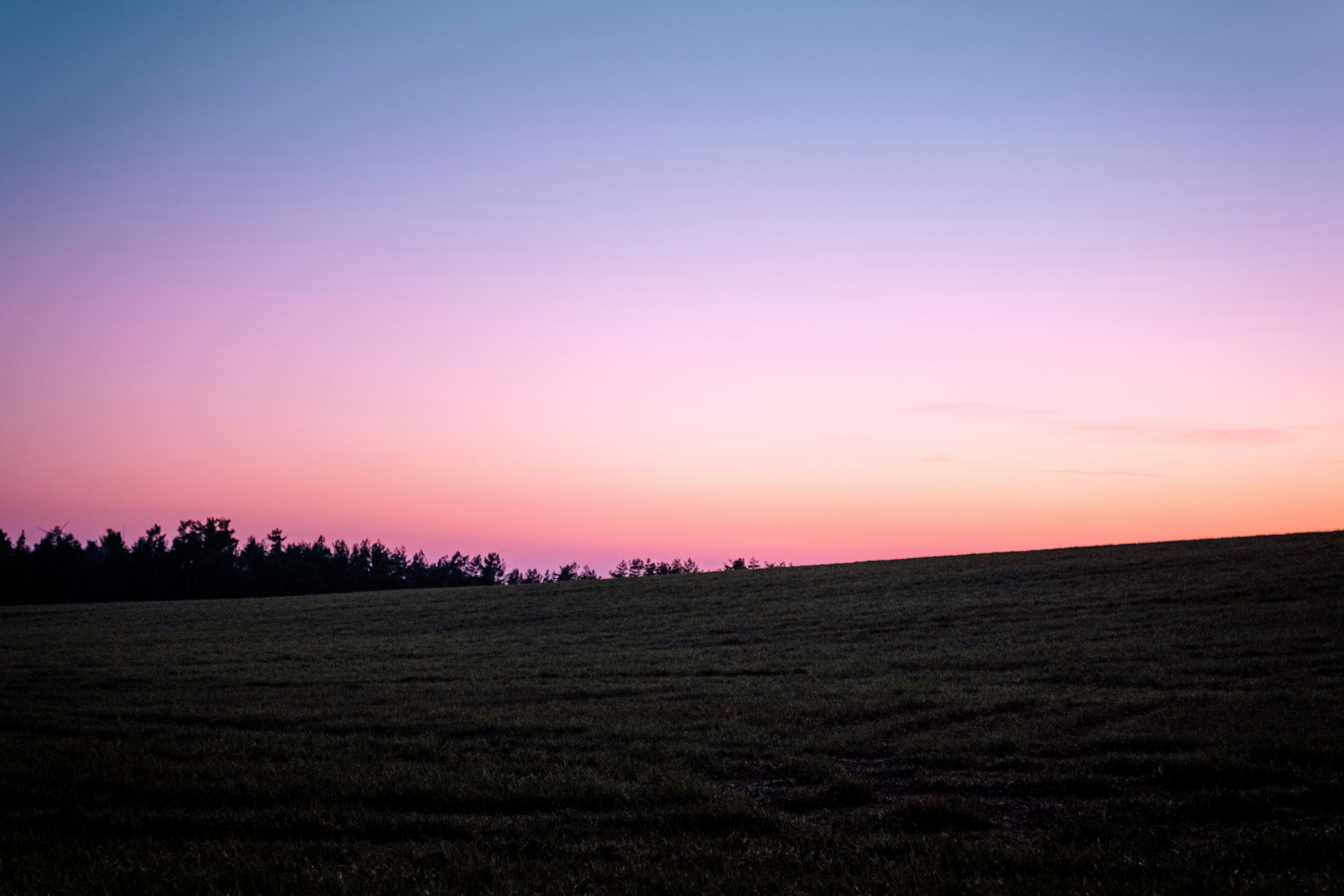 green open field under orange skies