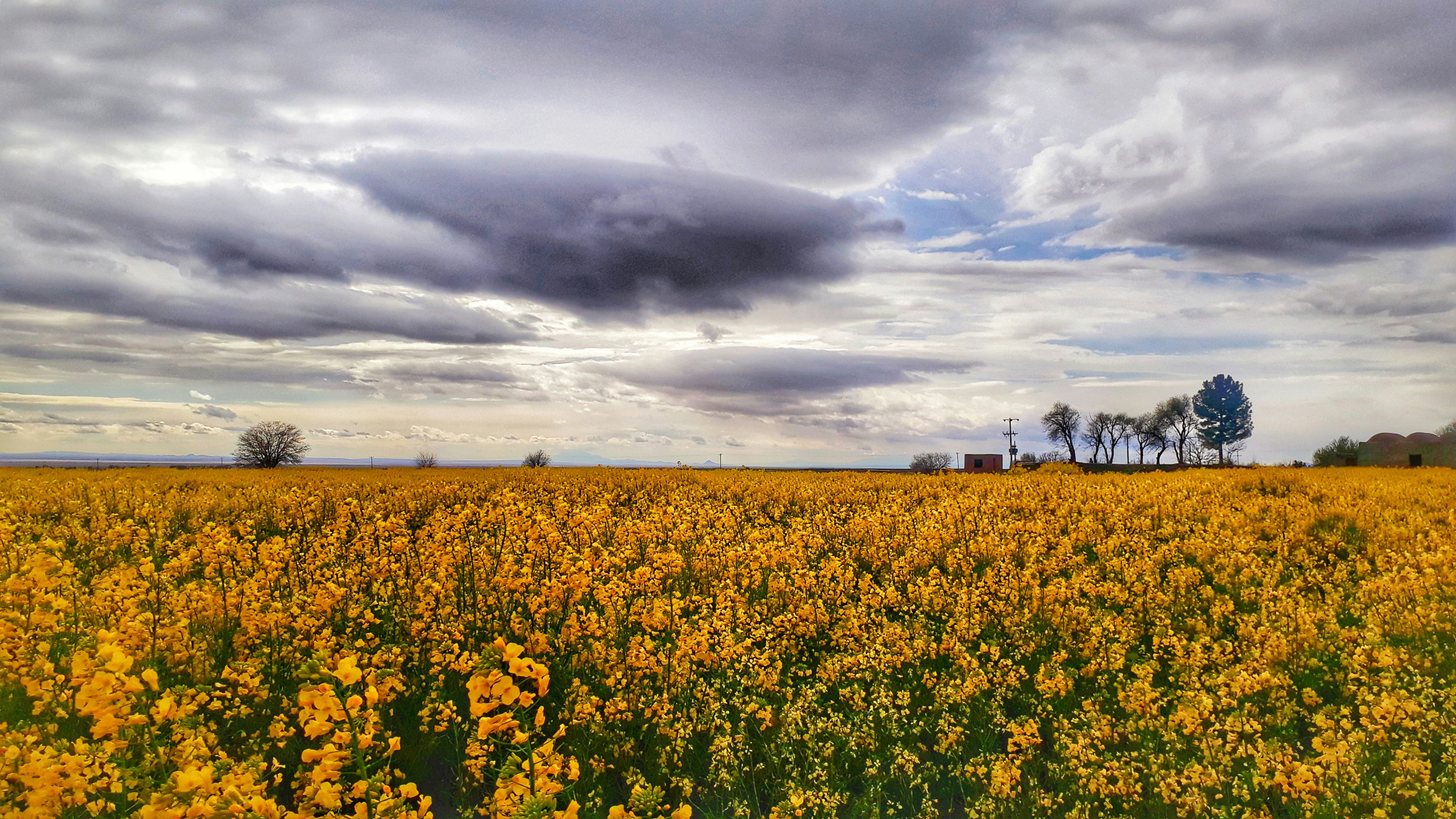 Photo by hami_shakeri