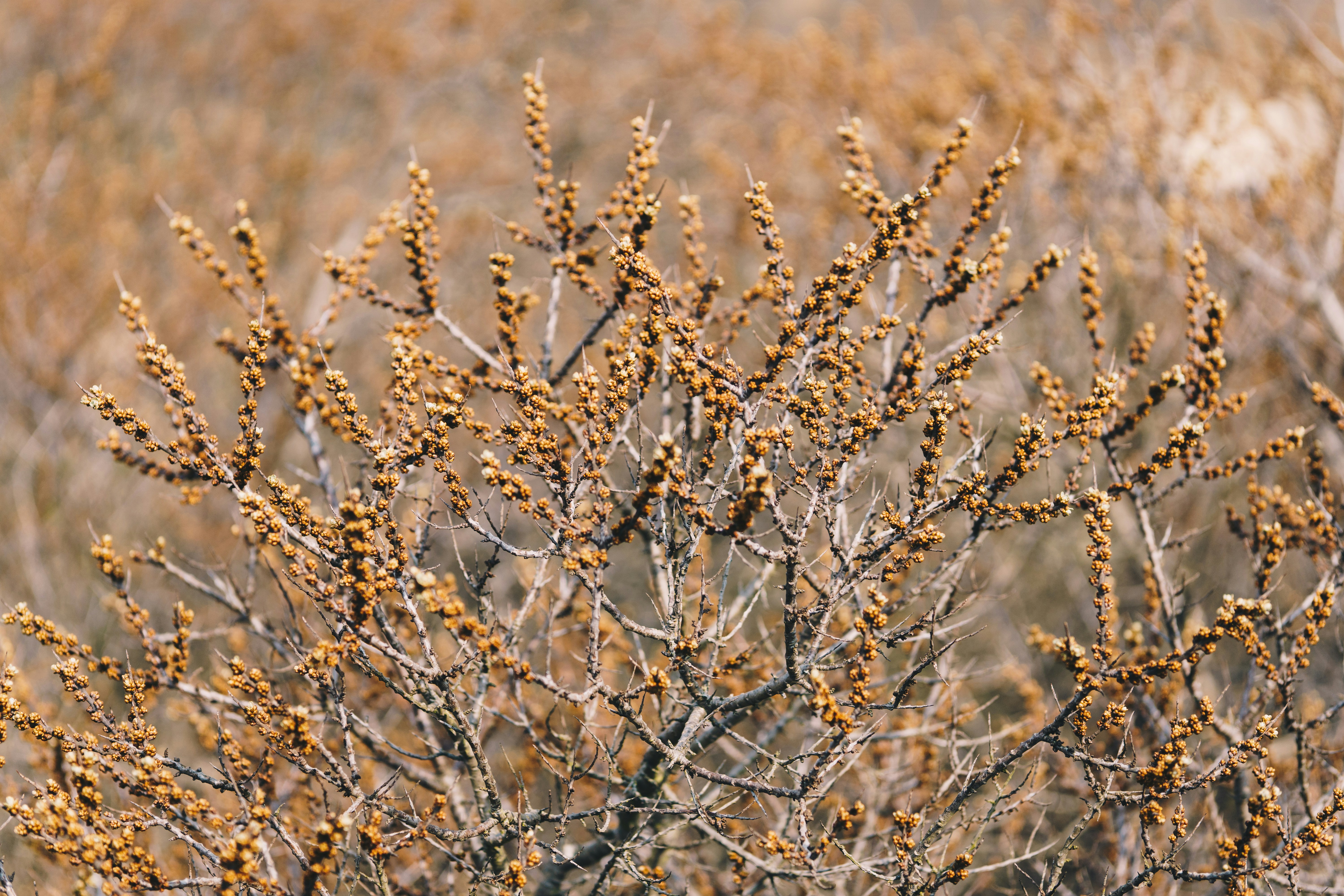 Photo by marealacris