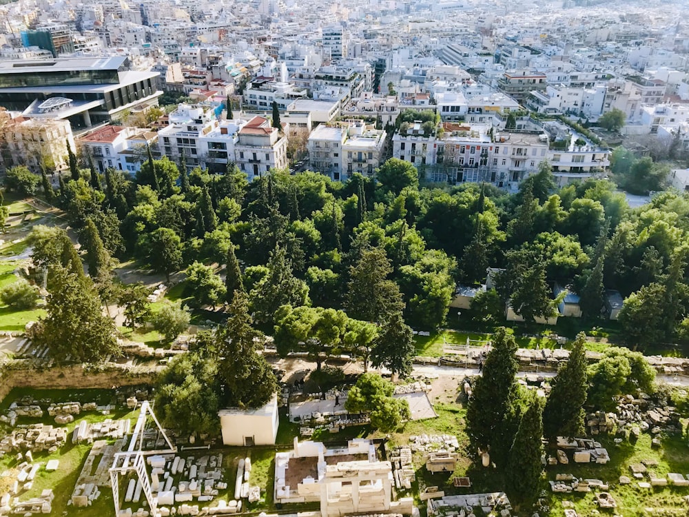 bird's-eye view photography of trees near buildings