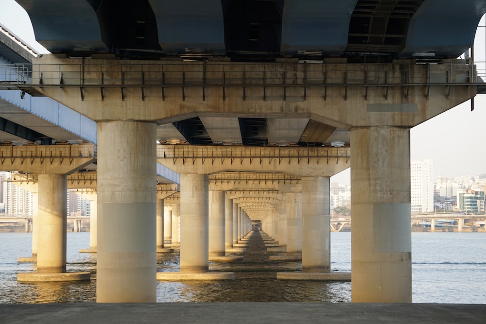 architectural photography of concrete bridge