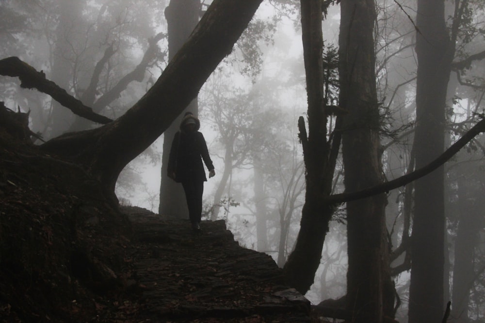 grayscale photography of person walking under thee tree