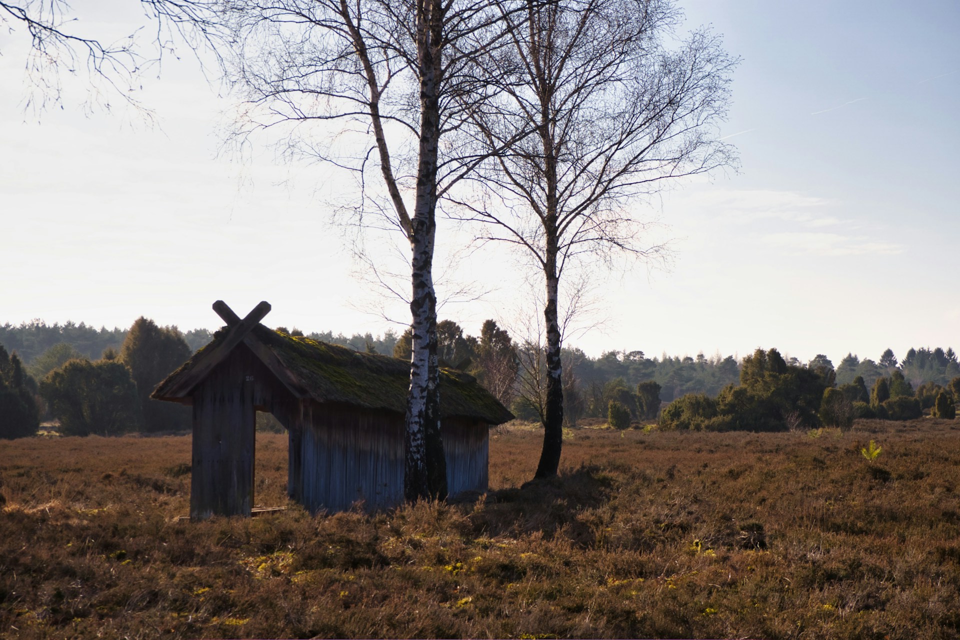 gray computer monitor