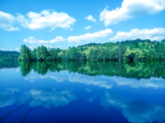 A serene landscape with a calm lake reflecting the trees and sky, symbolizing peace and harmony.